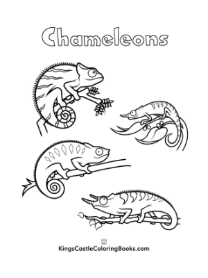free Chameleons coloring page