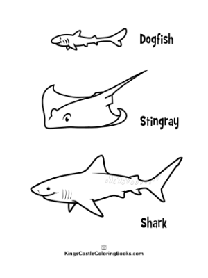 Sea Creatures Coloring page